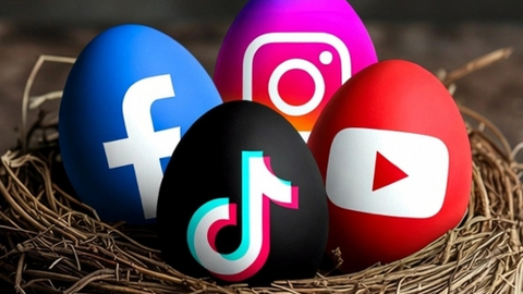 Social Nest AI